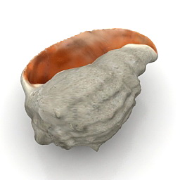 Download 3D Shell