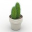 3D Cactus