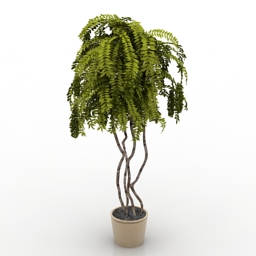 plant 3D Model Preview #f5ae3276