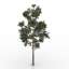 3D Pine-tree