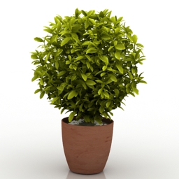 3d Plants Model Readsoftasoft