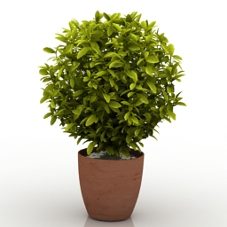 plant 3D Model Preview #0037fea6