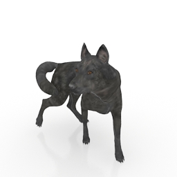 Download 3D Wolf