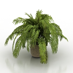 Download 3D Plant