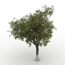 Download 3D Apple-tree