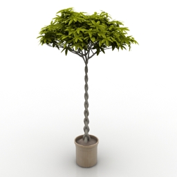 Download 3D Plant