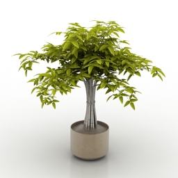 3D Plant preview