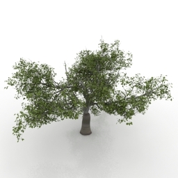 Download 3D Cherry tree