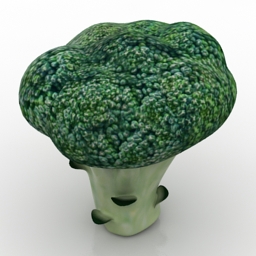 Download 3D Broccoli