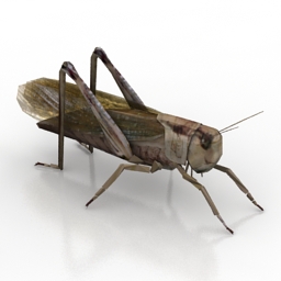 Download 3D Grasshopper