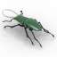 3D Stag beetle