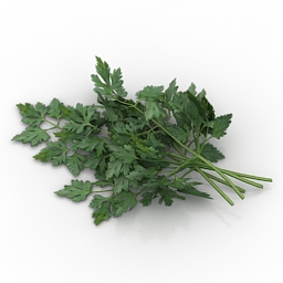 3D Parsley preview