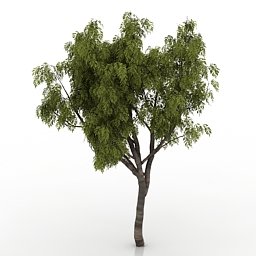 3d Model Tree Category Trees Rowan Trees Collection - 3d max tree model free download