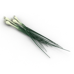 Download 3D Spring onions