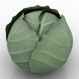 Download 3D Cabbage