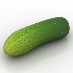 Download 3D Cucumber