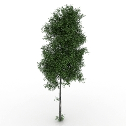 tree 7 3D Model Preview #a011e704