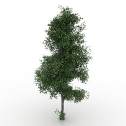 tree 3 3D Model Preview #4448fc16