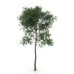 tree 2 3D Model Preview #b0f4303d