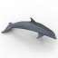 3D "Animals Dolphin Seal" - Collection
