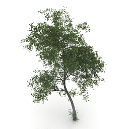 tree 2 3D Model Preview #d4ddaaa2