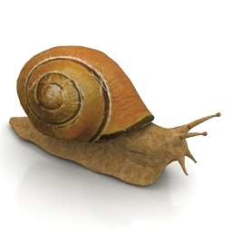 Download 3D Snail