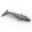 3D "Animals Grampus Whale" - Collection