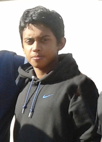 Bibin