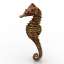 3D "ANIMALS Murae Seahorse" - Collection