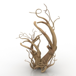 roots of ginseng 3D Model Preview #8522cef9