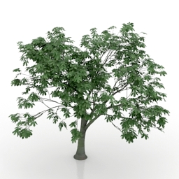 Download 3D Tree