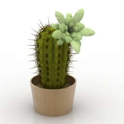 Download 3D Cactus