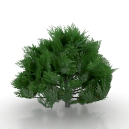 Download 3D Tree 