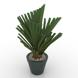 plant 2 3D Model Preview #98f8a74a