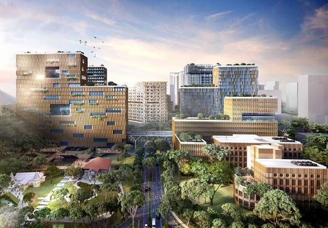 17-hectare mega healthcare city, Singapore