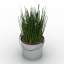 3D "Green onion bucket" - Collection