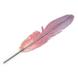 feather 3D Model Preview #bf62cfcd