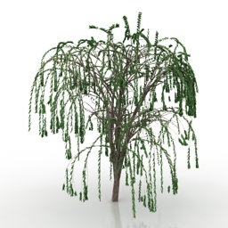 tree 3D Model Preview #f8bcf6d9
