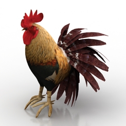 Download 3D Rooster