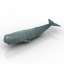 3D Sperm whale