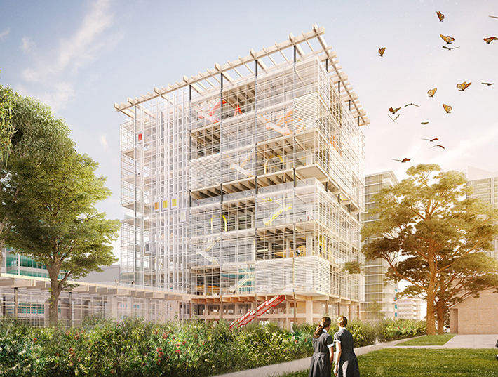 First high-rise public school by Grimshaw and BVN, Parramatta, Australia