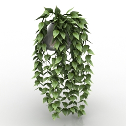 Download 3D Plant