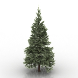 3D Conifers tree preview