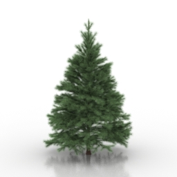 3D Conifers tree preview