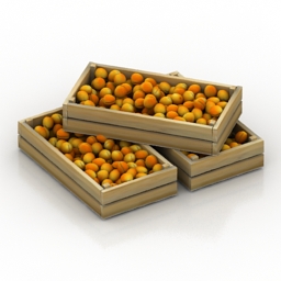 Download 3D Apricots