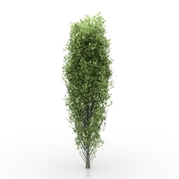 Download 3D Tree