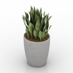 plant - 3D Model Preview #f67327bb