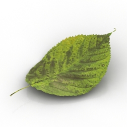 Download 3D Leaf