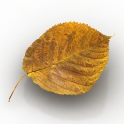 Download 3D Leaf