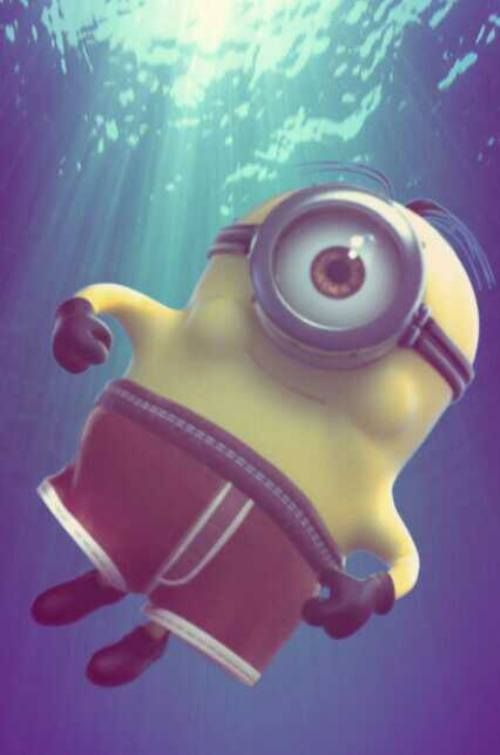 Nihel 